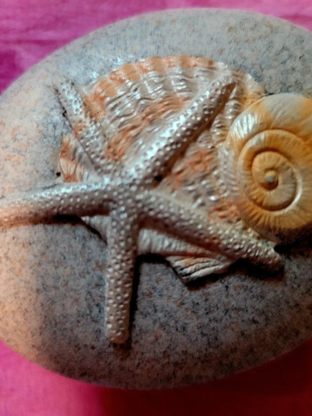 Decorative Starfish Shell Accent Stone in Beige and Natural
